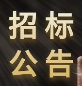 2025年度镇政府和各村法律顾问委托项目